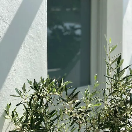 Apartment Odysseas &